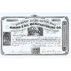 Big Sandy River Cannel Coal Mining & Oil Manufacturing Stock