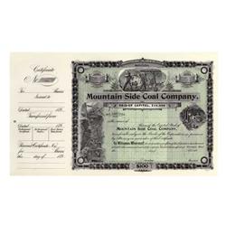 Mountain Side Coal Company