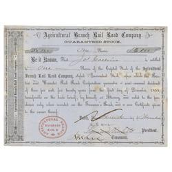 Agricultural Branch Rail Road Company