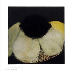 Donald Sultan, Lemon on Pears, Aquatint Etching