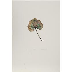 Rimer Cardillo, Lot of 4 Aquatint Etchings