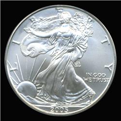 2005 Silver Eagle Graded GEM MS70 (COI-6269)