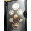 Image 1 : 1981 Canada Double Dollar Proof Set