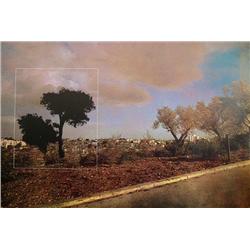 Menashe Kadishman, Israeli Art