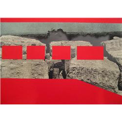 Menashe Kadishman, Israeli Art