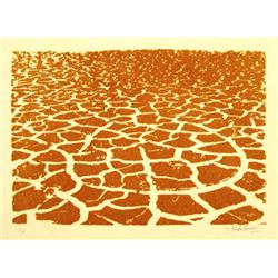 Menashe Kadishman, Israeli Art