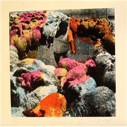 Menashe Kadishman, Israeli Art