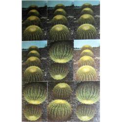 Ilona Aharon, Israeli Art