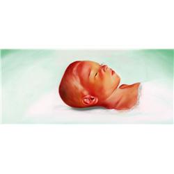 Nir hod, Israeli Art