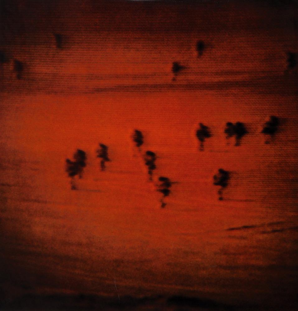 Michal Rovner, Israeli Art