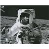 Image 1 : Alan Bean