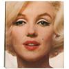 Image 3 : Marilyn Monroe: Mailer and Dougherty