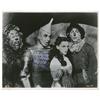 Image 1 : Wizard of Oz: Bolger and Haley
