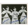 DiMaggio, Mantle, and Williams