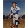 Image 2 : Sandy Koufax