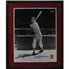 Image 1 : Ted Williams