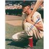 Image 1 : Ted Williams