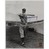 Image 1 : Ted Williams