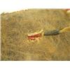 Image 3 : Southern Cheyenne-Style Strike-a-lite Bag