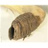 Image 2 : Plains Hide Scraper