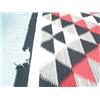 Image 3 : Optical Weaving