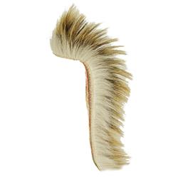 Plateau Dance Roach