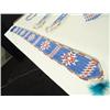Image 8 : Southern Plains Woman's Outfit