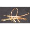 Image 2 : Sioux Bow Case & Quiver