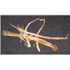 Image 3 : Sioux Bow Case & Quiver