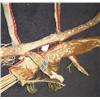 Image 5 : Sioux Bow Case & Quiver