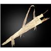 Image 1 : Sioux Bow Case & Quiver