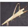 Image 2 : Sioux Bow Case & Quiver