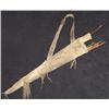 Image 3 : Sioux Bow Case & Quiver