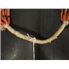 Image 5 : Coral and Tradebead Necklace