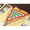 Image 5 : Sioux Warshirt