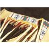 Image 6 : Sioux Warshirt