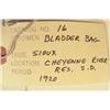 Image 3 : Sioux Bladder Bag