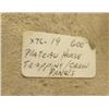 Image 8 : Crow Saddle Drape