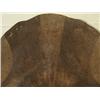 Image 8 : Pueblo Shield and Cover