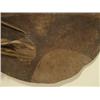 Image 9 : Pueblo Shield and Cover