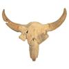 Image 1 : Fossilized Buffalo Skull