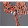 Image 2 : Crow Medicine Necklace