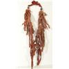 Image 7 : Crow Medicine Necklace