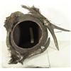 Image 5 : Zuni Fetish Pot & 3 Fetishes