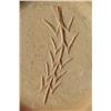 Image 4 : Jemez Seed Jar-Glendora Daubs
