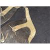 Image 5 : Vintage Ranch Chaps