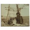Image 1 : Harmon Percy Marble Photograph