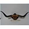 Image 9 : Vintage Antler and Horn Collection