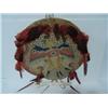Image 4 : Rawhide War Shield