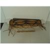 Image 3 : Plains Parfleche Case